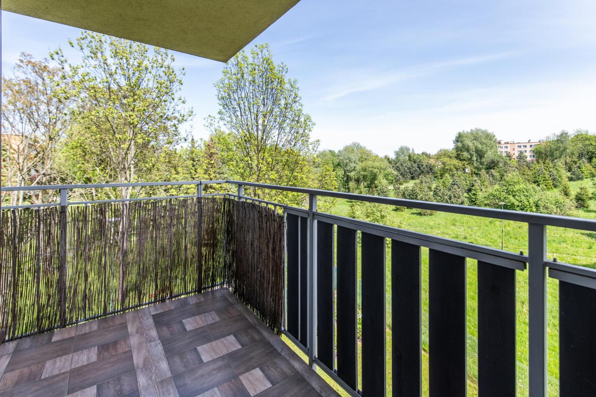 Large Luxury Apartment Wieliczka Exterior photo